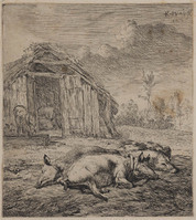 TvB G 0728
<br/>
Drie slapende varkens
<br/>
<em>Dujardin, Karel (1622-1678)</em>